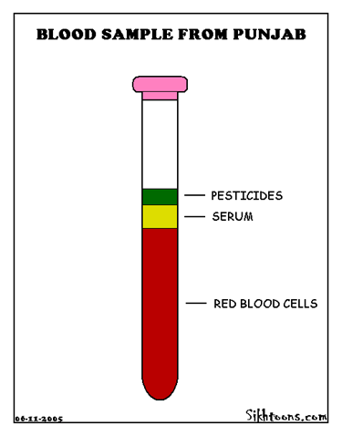 Blood Sample from Punjab