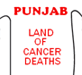 Punjab Tees